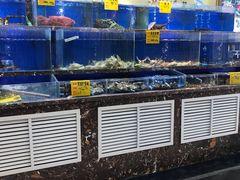 水产区-河马鲜生海鲜超市(风荷园店)