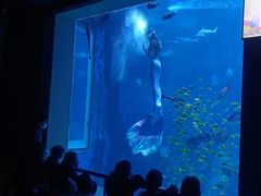 -太平洋海底世界