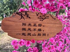 -北京凤凰岭
