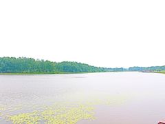 -塞罕坝国家级自然保护区