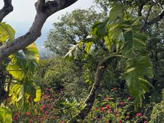 -白云山索道-售票处