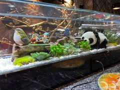 -红辣椒·川菜·火锅(张杨路店)