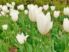 -长春公园(普阳街道)