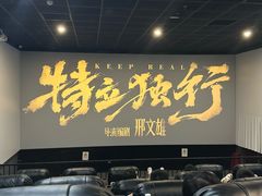-大地院线珠江摩尔店(CL全景超级影院)