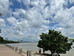 -深圳湾公园(南山区)