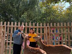 -水上乐园·欢乐世界