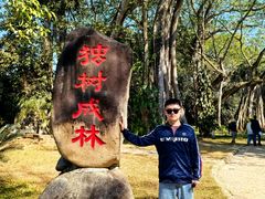 -独树成林