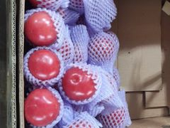 -西北农副产品中心批发市场(广安路店)