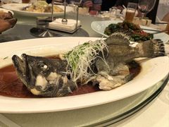 -希尔顿南海酒店·观廊大堂吧·海景下午茶