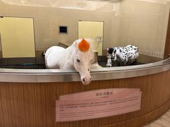 -海澜飞马水城