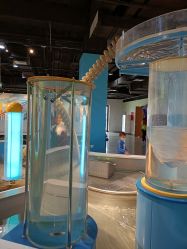 -北京科学中心儿童乐园