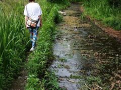 -白水寺森林公园
