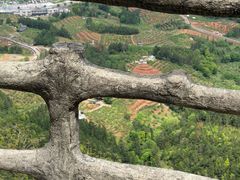 -南武当山景区
