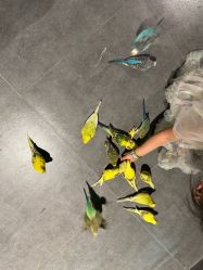 -酷嗒动物文化乐园(cutezoo西溪乐天城店)