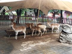 -西安秦岭野生动物园
