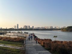 -海珠湖公园