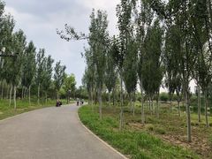 -东郊湿地公园