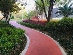 -北外滩滨江绿地