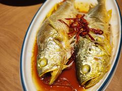 油泼黄花鱼-波螺油子·海肠捞饭·青岛菜(银座店)