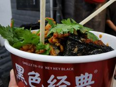 -黑色经典臭豆腐·湖南特产(坡子街店)