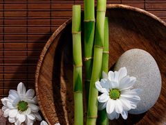 -高铁便当(长白街店)