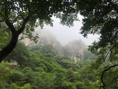 -青峰峡国家森林公园