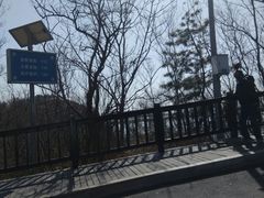 -小田乌鱼排(济宁总店)