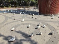 -南宫五洲植物乐园