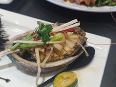 四头活鲍鱼冲油-小红鲸·海鲜餐厅(轸大路店)