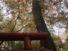 -野宫神社