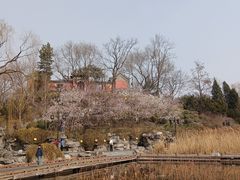 -郭守敬纪念馆