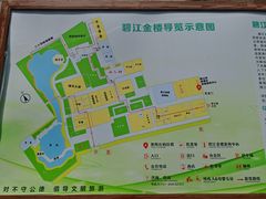 -碧江金楼