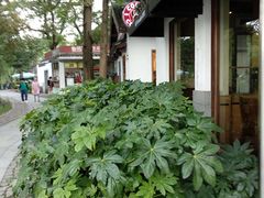 -西湖天地