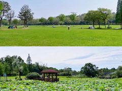 -宜兴龙背山森林公园