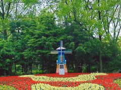 -上海共青森林公园