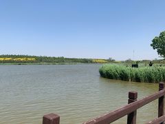 -西青郊野公园
