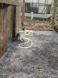 -DORA kids 朵拉儿童摄影花园店