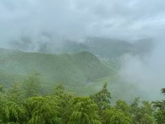 -莫干山风景区