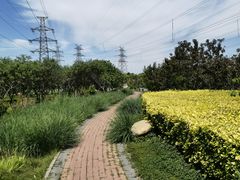 -大港湿地公园