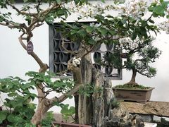 -上海醉白池公园