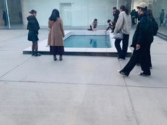 -金泽21世纪美术馆