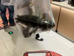 波士顿龙虾-盒马鲜生(馥邦国际店)