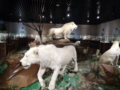 -陕西自然博物馆