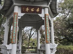 -江心屿景区