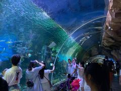 -华夏文旅海洋公园