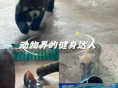 -海合安武汉极地海洋公园