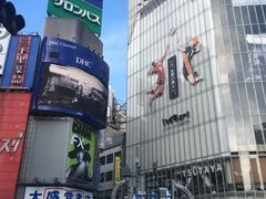 -涩谷区
