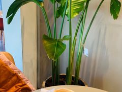 -dotcom coffee古点咖啡(致真大厦店)