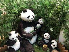 -济州岛泰迪熊博物馆