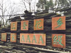 -三圣花乡旅游区